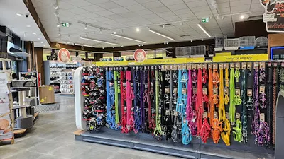 AQUAEL ZOO, Radom, Mister Up